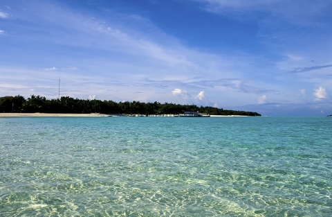 Maldive - Isola di Boduhiti -  1996